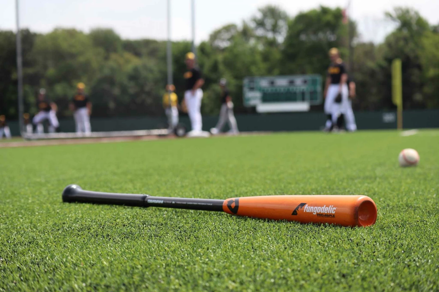 Baseball Sales 2022 -Baseball Sales 2022 84943462