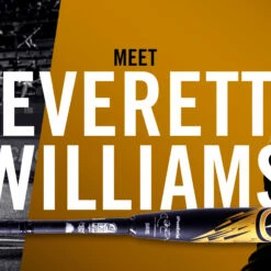 Baseball Sales 2022 -Baseball Sales 2022 image 166