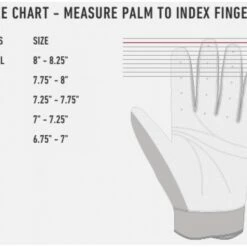 Cheapest ⌛ 2020 RAWLINGS WORKHORSE BATTING GLOVES 😍 -Baseball Sales 2022 image 1752