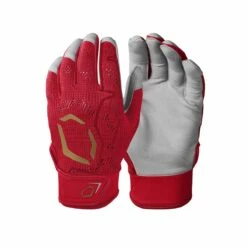 Deals ๐ EVOSHIELD PRO-SRZ BATTING GLOVE YTH ๐