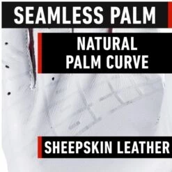 Buy 🔥 FRANKLIN POWERSTRAP CHROME BATTING GLOVE ADULT 🧨 -Baseball Sales 2022 image 1852